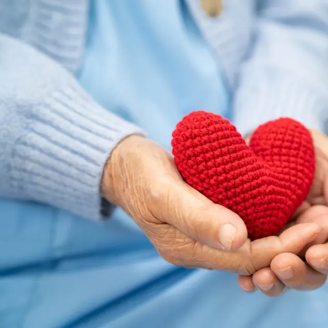 Senior hands holding a small red knitted heart